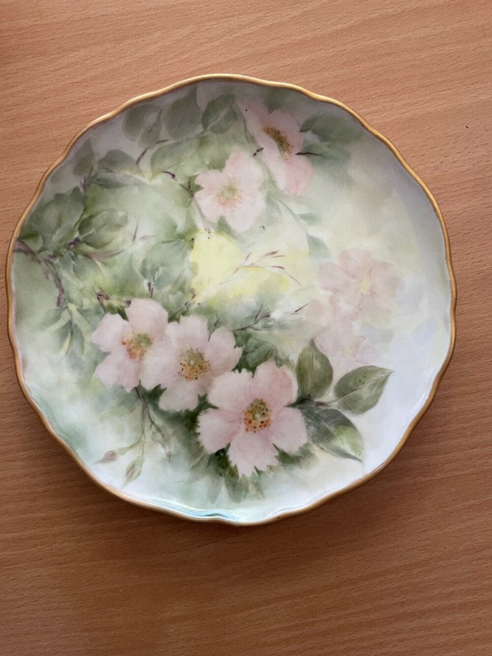 Vintage Hutschenreuther German plate scalloped edge gold rim wild rose 8"